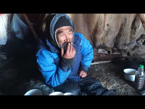 Видео: "Чукчи" Настоящие люди 💪