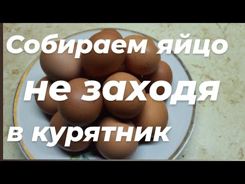 Видео: ПРАВИЛЬНЫЙ курятник. Теперь ещё удобней. Почему куры не улетают.