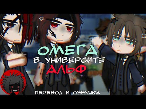 Видео: ЯОЙ "Омега в университете Альф" Перевод и озвучка гача-фильм