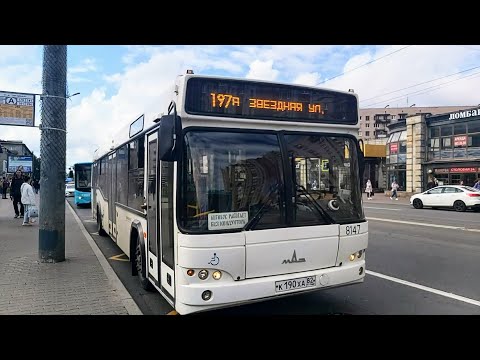 Видео: Автобус №197 (по Московскому ш. к промзоне Шушары) МАЗ-103.486 б.8147 (28.07.2023) Санкт-Петербург