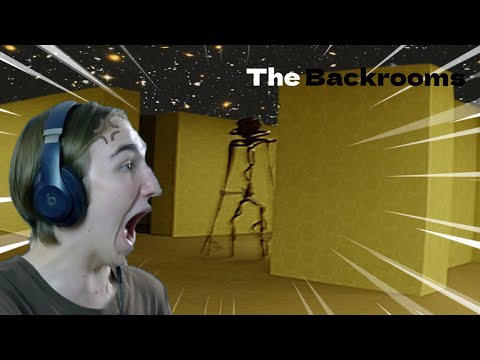 Видео: ПЯТАЧОК ИГРАЕТ С ПОДПИСЧИКОМ В The Backrooms