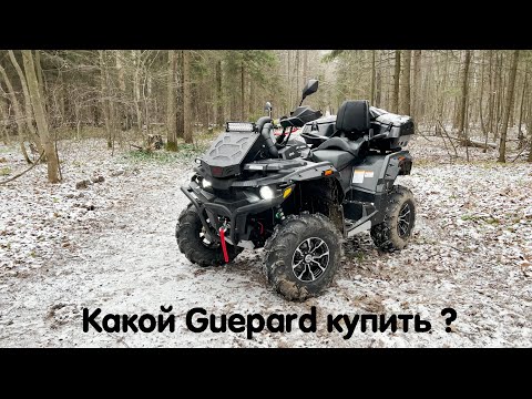 Видео: Какой Stels Guepard купить ? 650/800/850 cv tech или обычный вариатор ? Ответы на частые вопросы.