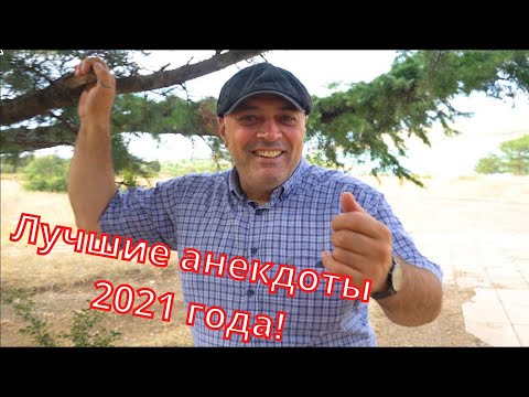 Видео: Лучшие анекдоты за 2021 год! (От Гарика)