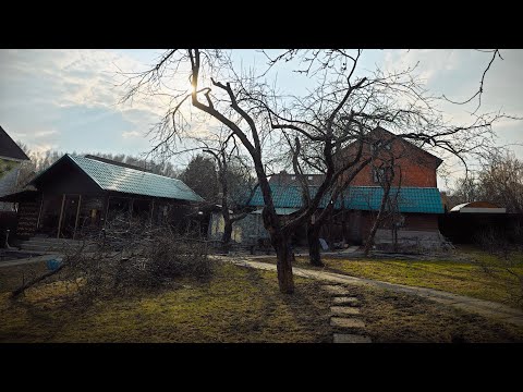 Видео: Обрезка старой яблони