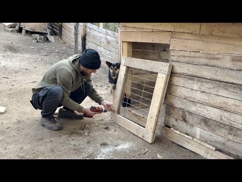 Видео: Мужчина, который заботится о брошенных животных и готовит старинные рецепты из 1800-х годов