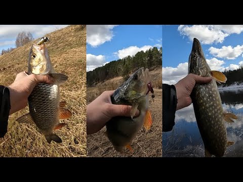 Видео: Целый день на РЕКЕ! Рыбалка на Спиннинг. Воблеры и джиг в деле! Весенний клёв!