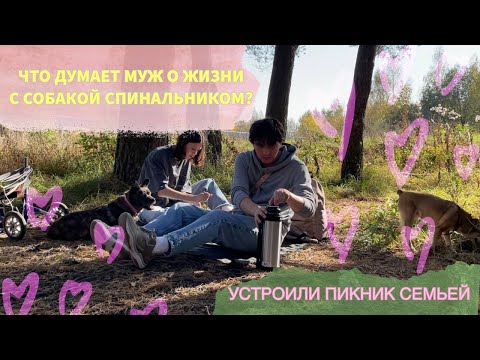 Видео: ЖИЗНЬ СО СПИНАЛЬНИКОМ ОТ ЛИЦА МУЖА | ПИКНИК С СОБАКАМИ