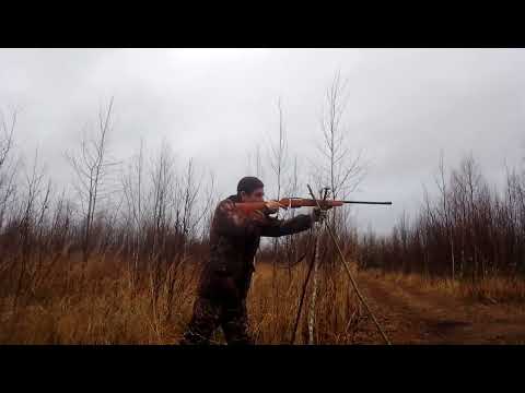 Видео: Мц 20-01 пуля люман и стрела через кусты.дробь 4 и 5