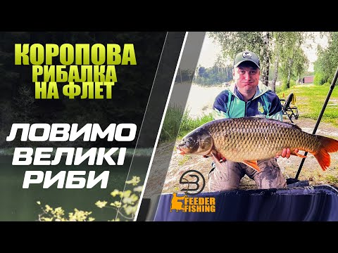 Видео: Коропова рибалка на флет \ Нічні трофеи #fishing