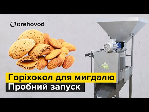 Видео: Орехокол для миндального ореха. Almond cracking machine