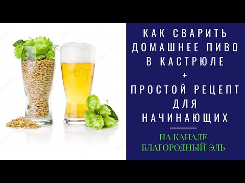 Видео: Как сварить пиво в кастрюле в домашних условиях.  Простой рецепт пива для новичков
