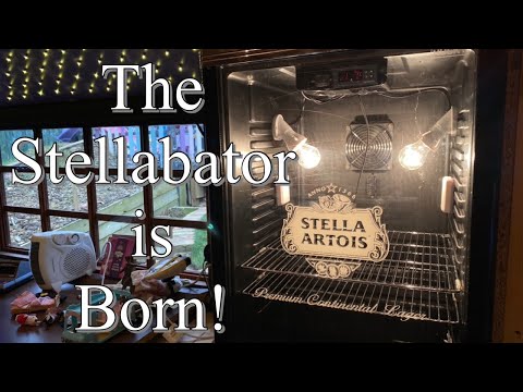 Видео: КАК СДЕЛАТЬ ИНКУБАТОР ИЗ ХОЛОДИЛЬНИКА… ПРОСТОЙ РУКОВОДСТВО (часть 2)