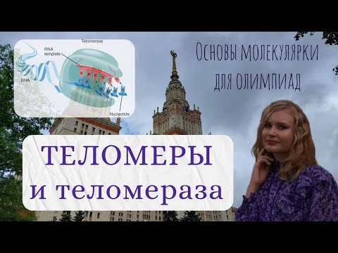 Видео: Молекулярная биология для олимпиад / Теломеры и теломераза, основы биохимии ДНК и репликации ДНК