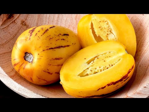 Видео: Урожай пепино в открытом грунте Нижнего Новгорода ( 4К )