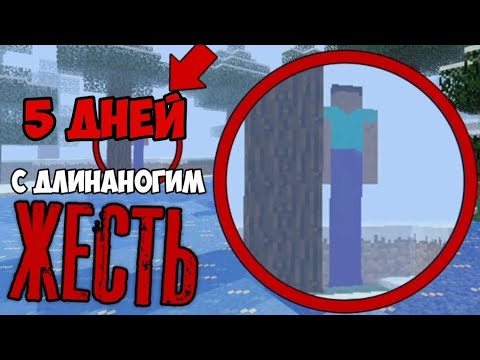 Видео:  5 дней с настоящим длинноногим😱