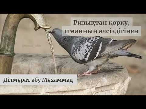 Видео: Ризықтан қорқып қажеті жоқ…