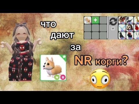 Видео: ЧТО ДАЮТ ЗА NR КОРГИ В АДОПТ МИ?