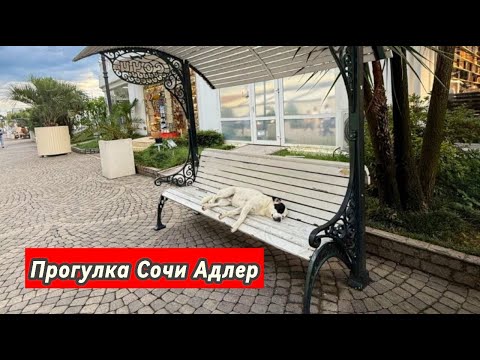 Видео: Сочи Прогулка 🚶  🏞️