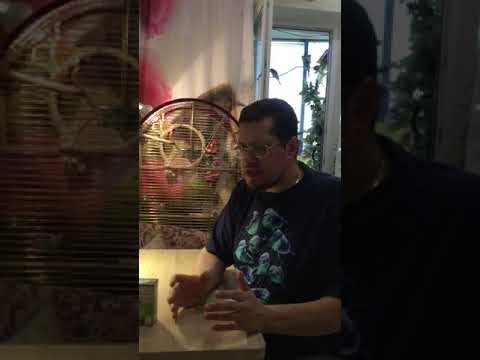 Видео: О КРАПИВЕ