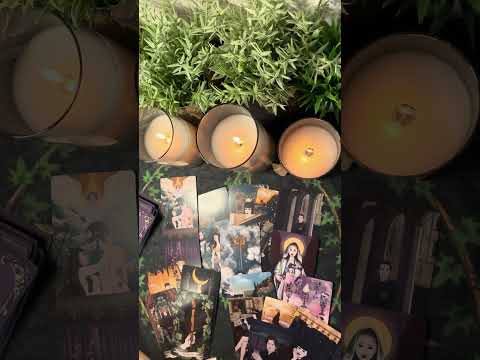 Видео: Ему уже все равно ?? 🤷‍♀️😔🫣❤️‍🔥