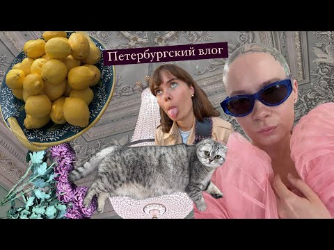 Видео: Санкт - Петербург! Сестринский влог. Семья, еда, прогулки