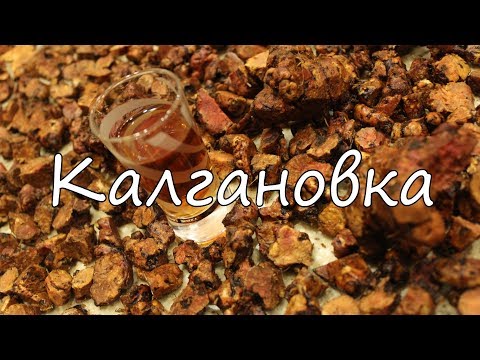 Видео: Калгановка. Настойка на корне калгана.