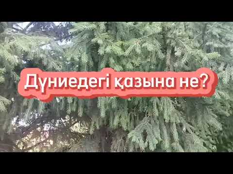 Видео: Аңыздар жиыны