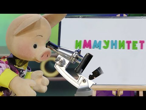 Видео: ☀️С добрым утром, малыши! Иммунитет - ЗОЖкины