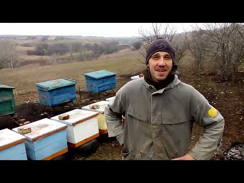 Видео: пчёлы зимуют, а пчеловоды трудятся ЧАСТЬ 1  Прод следует  Дальше интересно