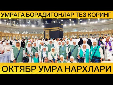 Видео: 2025 ОКТЯБР ОЙИ УМРАГА БОРИШ НАРХЛАРИ 2025 OKTYABR OYI UMRAGA BORISH NARXLARI