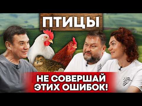 Видео: Птицы – самый простой бизнес в деревне! Советы новичкам | Куры, перепела, бройлеры
