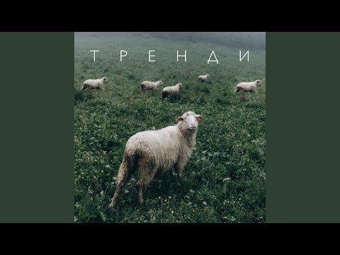 Видео: Тренди