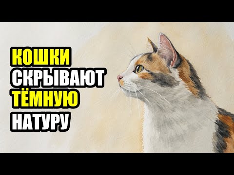 Видео: КОШКИ НЕНАВИДЯТ ВАС! ВОТ ПОЧЕМУ!