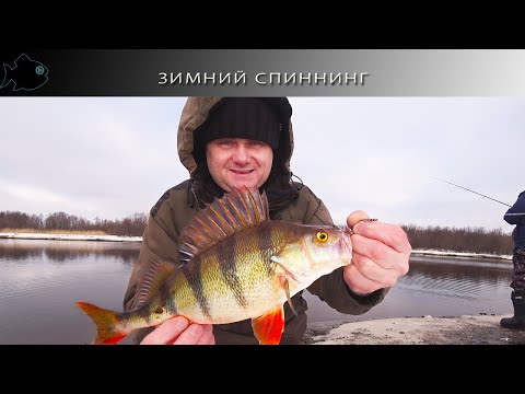 Видео: Февральский джиг 2025 \ зимний Юрас