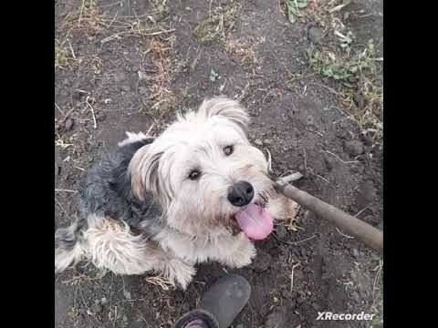 Видео: Приятное событие.