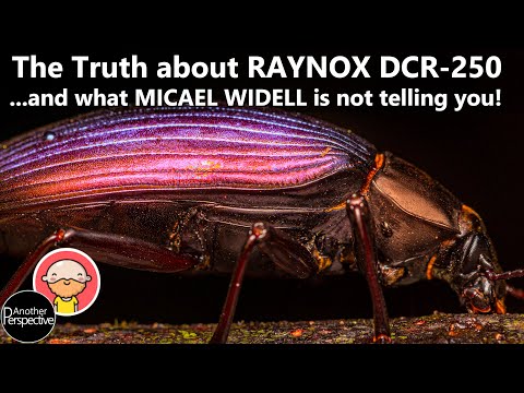 Видео: МАЙКЛ УИДЕЛЛ не рассказал вам об этом ВАЖНОМ ХИТРОМ в макрофотографии!