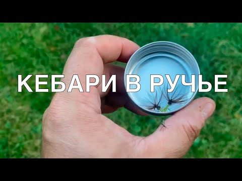 Видео: ТЕНКАРА x ОСНОВНЫЕ ПРОВОДКИ В РУЧЬЕ #108