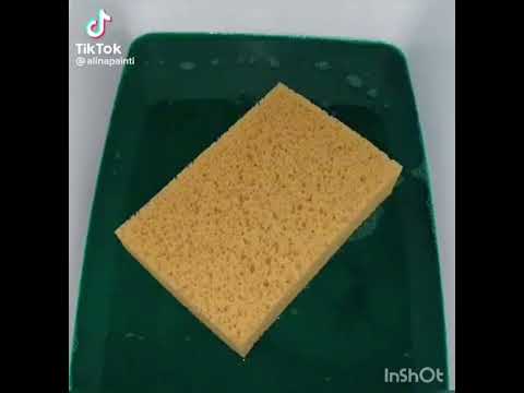 Видео: Губка И Мыльные ИСТОРИИ с ТТ #подписка #лайк