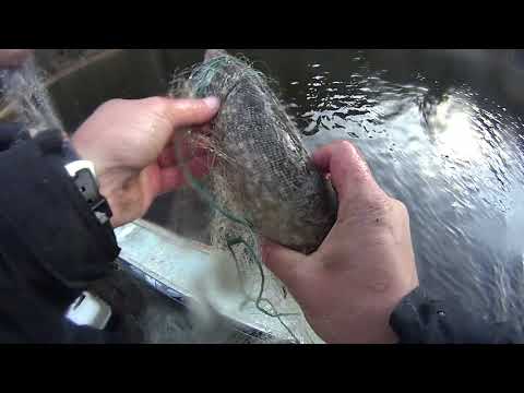 Видео: Беспредел на реке сёбла.