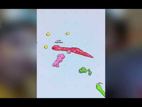 Видео: 26 октября 2025 г.