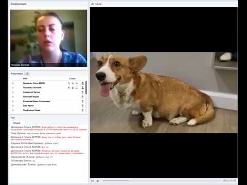 Видео: Беременность и роды. Лектор- Пахомова Наталия.