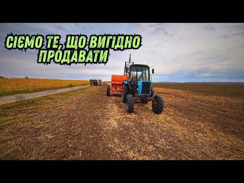 Видео: ВІДКРИЮ ПЕКАРНЮ І БУДУ ПЕКТИ ХЛІБ❗️🌾КУДИ ВИГІДНІШЕ ЧИМ СОЮ СІЯТИ❗️🚜