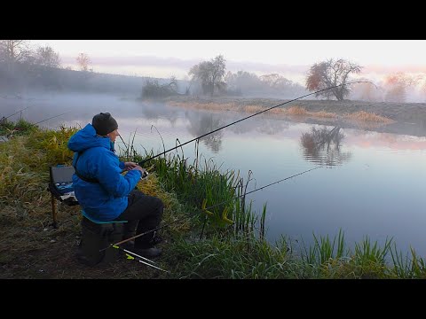 Видео: Спрацювала наживка в яку я не вірив!  Фідерна рибалка у листопаді на Горині.