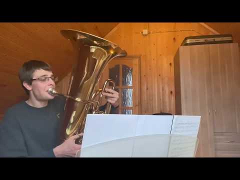 Видео: Мастер-класс Федора Шагова (туба)