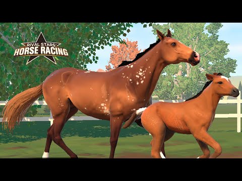 Видео: Смотрим жеребят и проходим активные события 🌺 Rival Stars Horse Racing