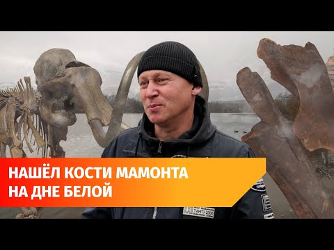 Видео: Уфимец достает со дна рек бивни мамонтов и кости других древних животных и передает их музеям