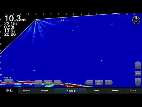 Видео: Подбор настроек Лайвскопа 2
