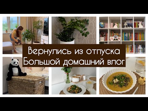 Видео: 🛍️ПОКУПКИ ДЛЯ ДОМА / 🥒🥗 РЕЦЕПТЫ ИЗ КАБАЧКОВ / 🧺🧹🧽 МОТИВАЦИЯ НА УБОРКУ