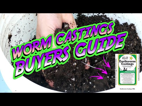 Видео: ЧТО НУЖНО ЗНАТЬ ПЕРЕД ПОКУПКОЙ ЧЕРВЯЧЬИХ ОТЛИВОК