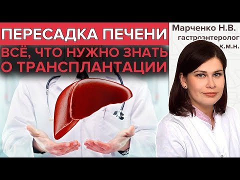 Видео: ТРАНСПЛАНТАЦИЯ ПЕЧЕНИ | Жизнь до, во время и после пересадки печени